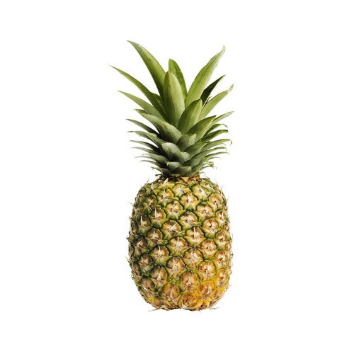 Picture of Pineapple