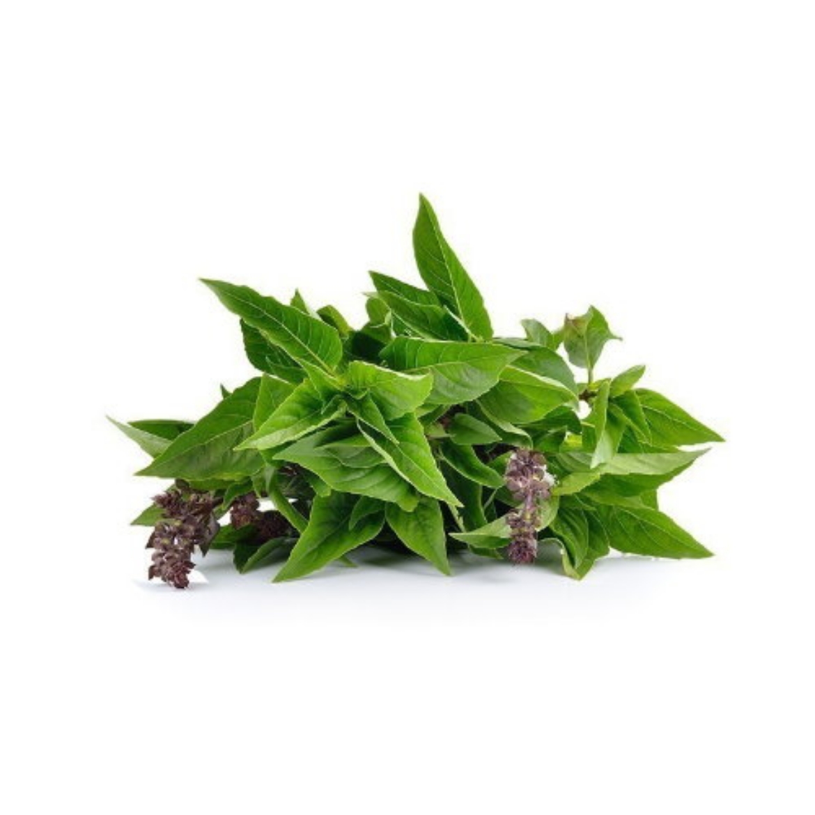 Basil Thai の画像