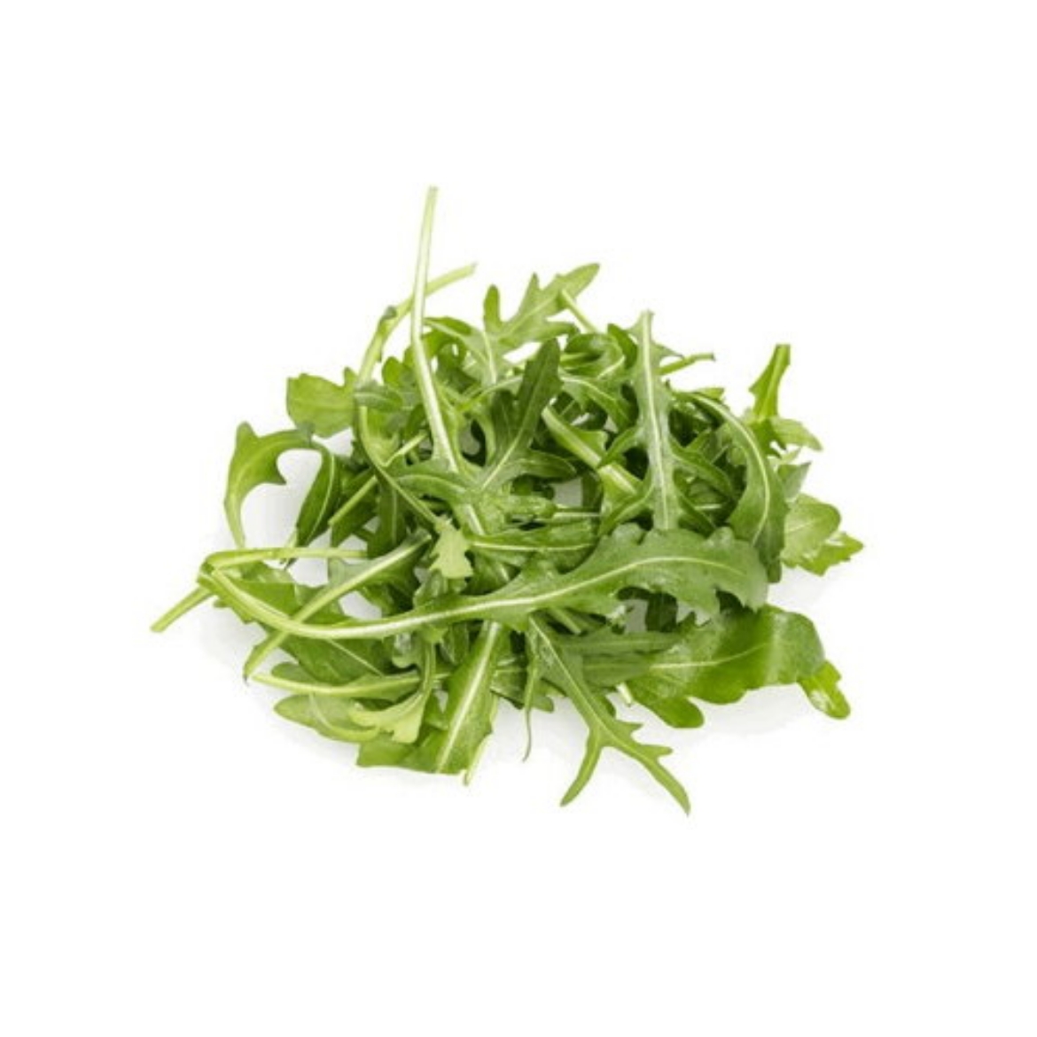 Picture of Rocket Plain