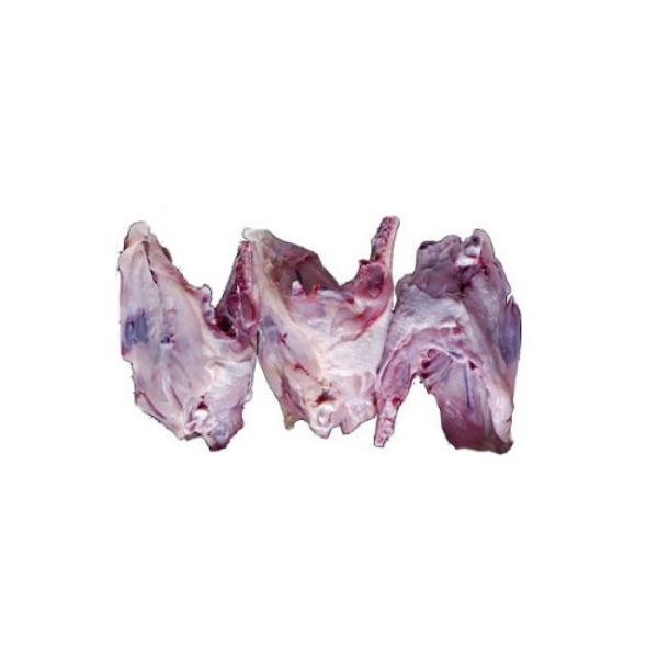 Picture of Chicken Bone