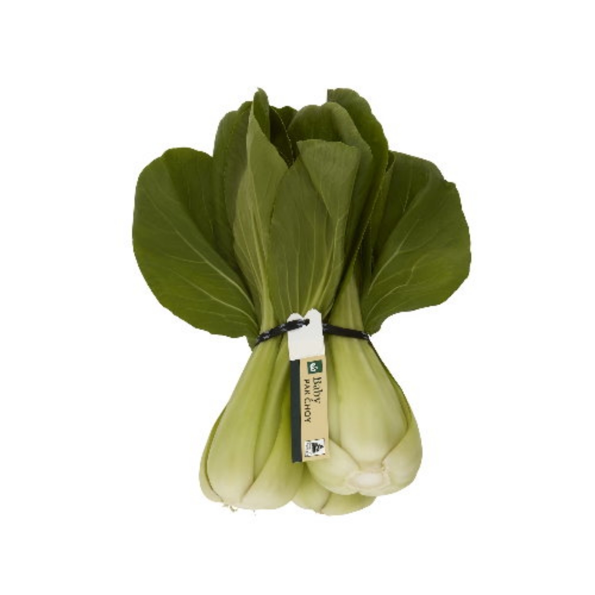 Picture of Pak Choy Baby Bunch