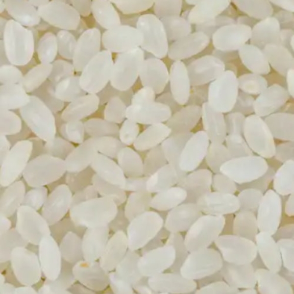 Picture of Rice Sushi