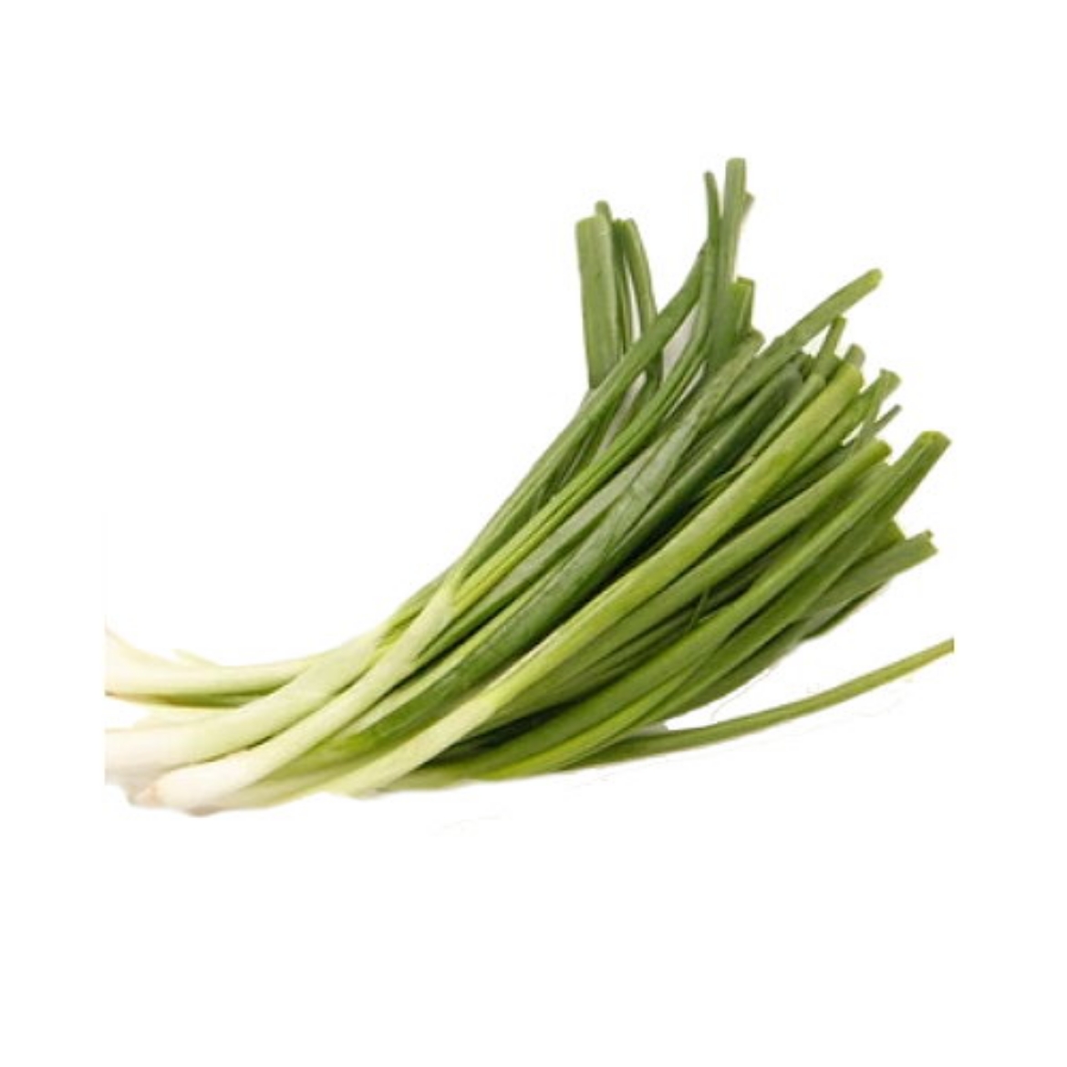 Picture of Spring Onions Bunch