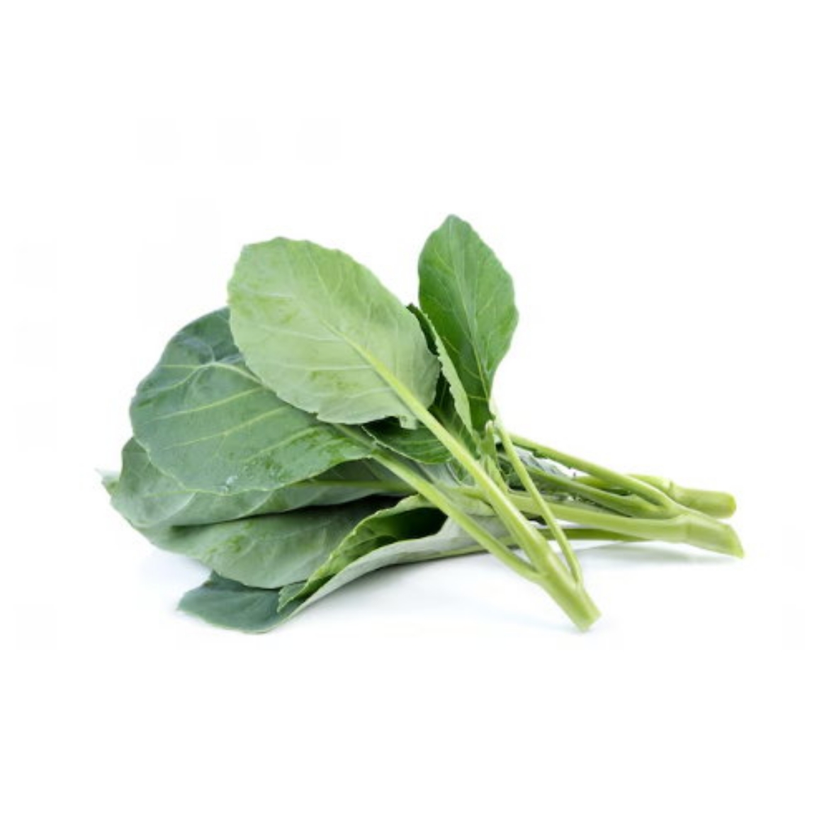 Picture of Broccoli Chinese (CAI RO)