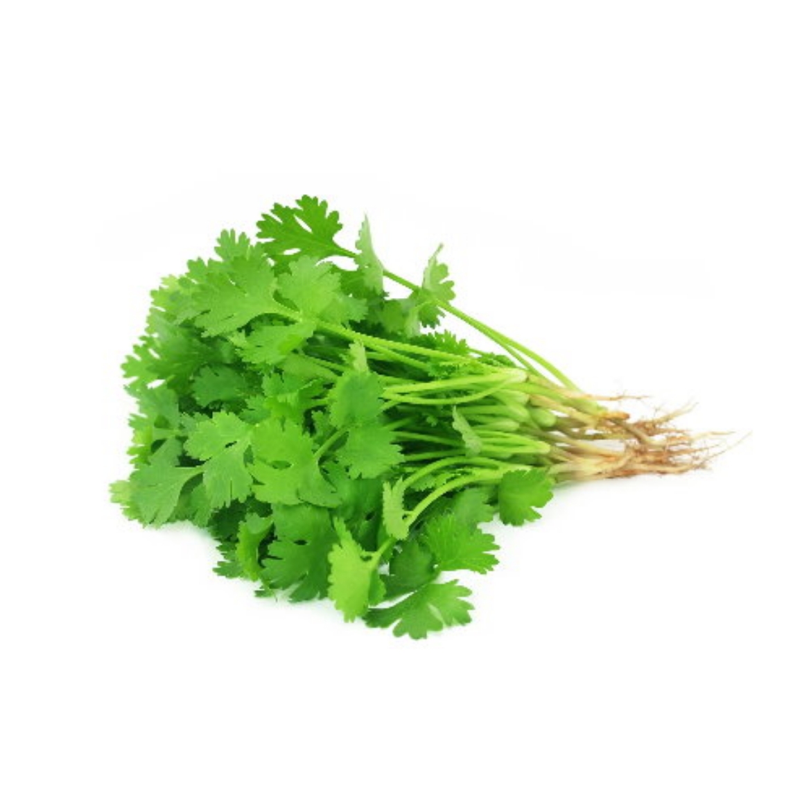 Picture of Coriander (NGO RI) Bunch