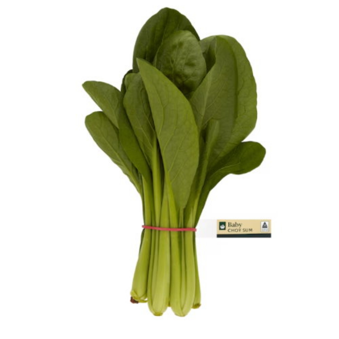 Picture of Choy Sum Baby Bunch