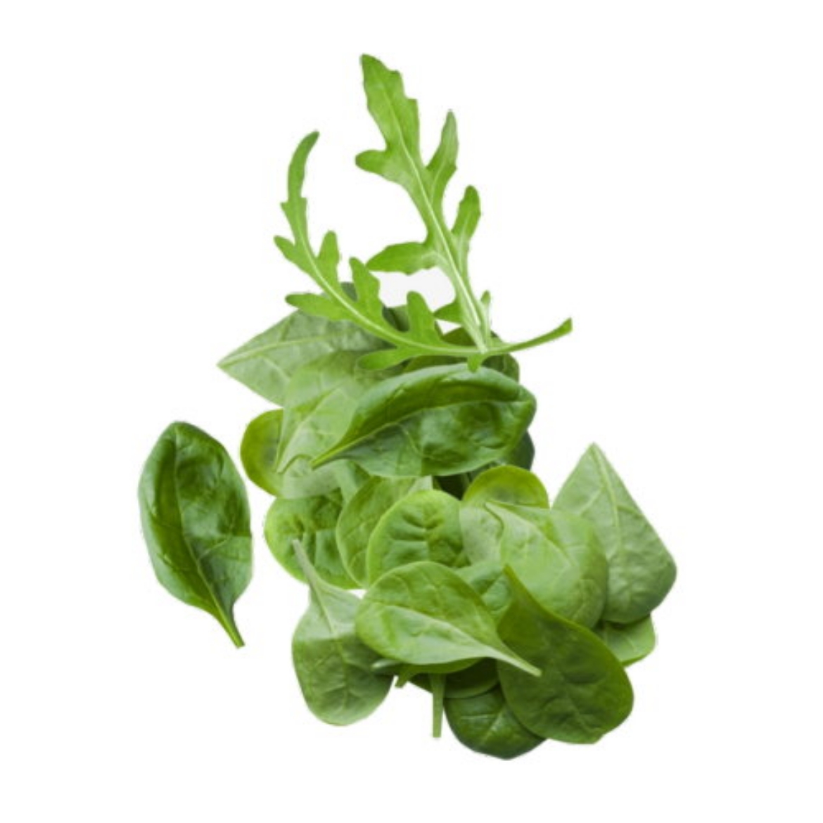 Picture of Baby Spinach and Rocket