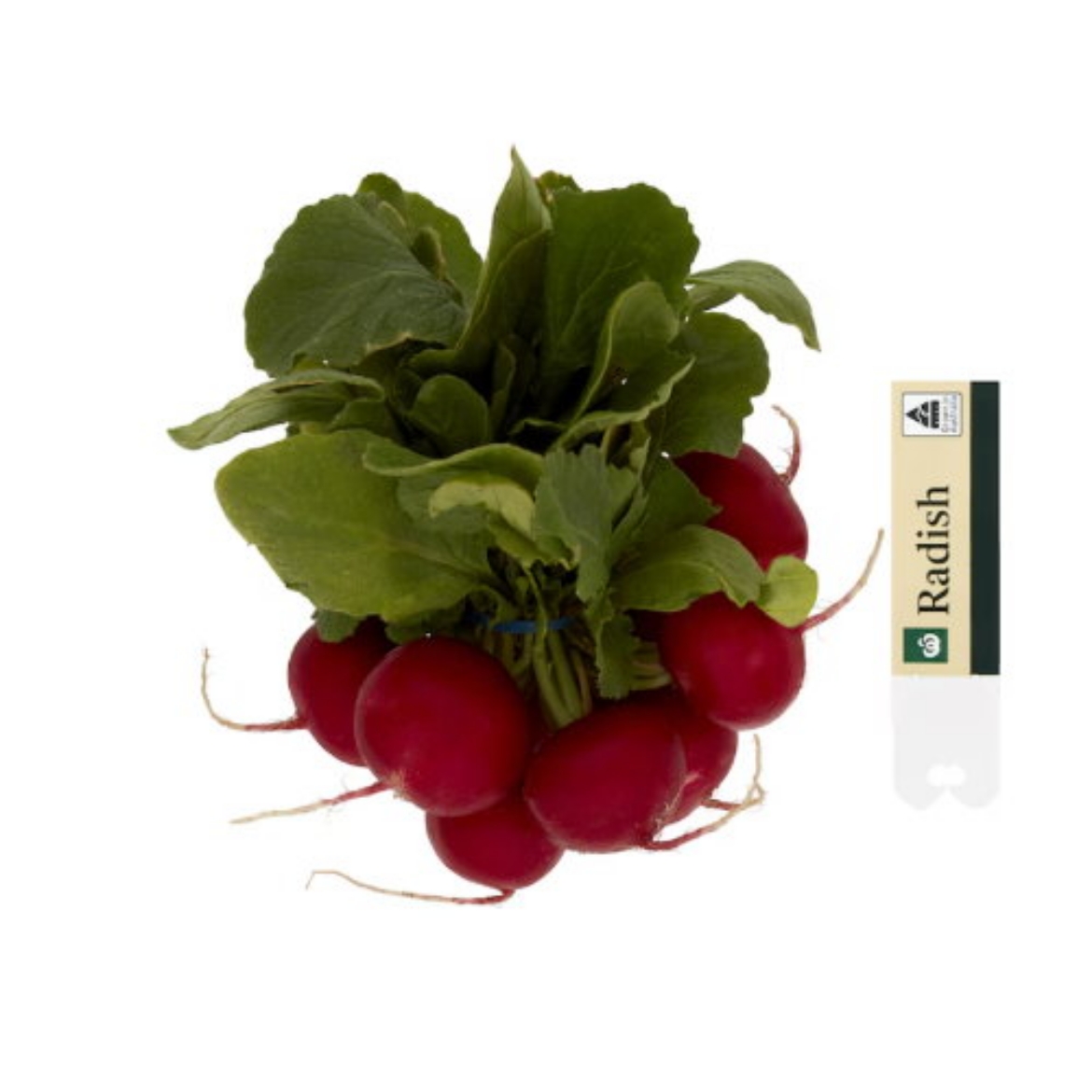 Picture of Radish Fresh Bunch