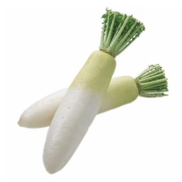 Picture of Daikon Radish Chinese