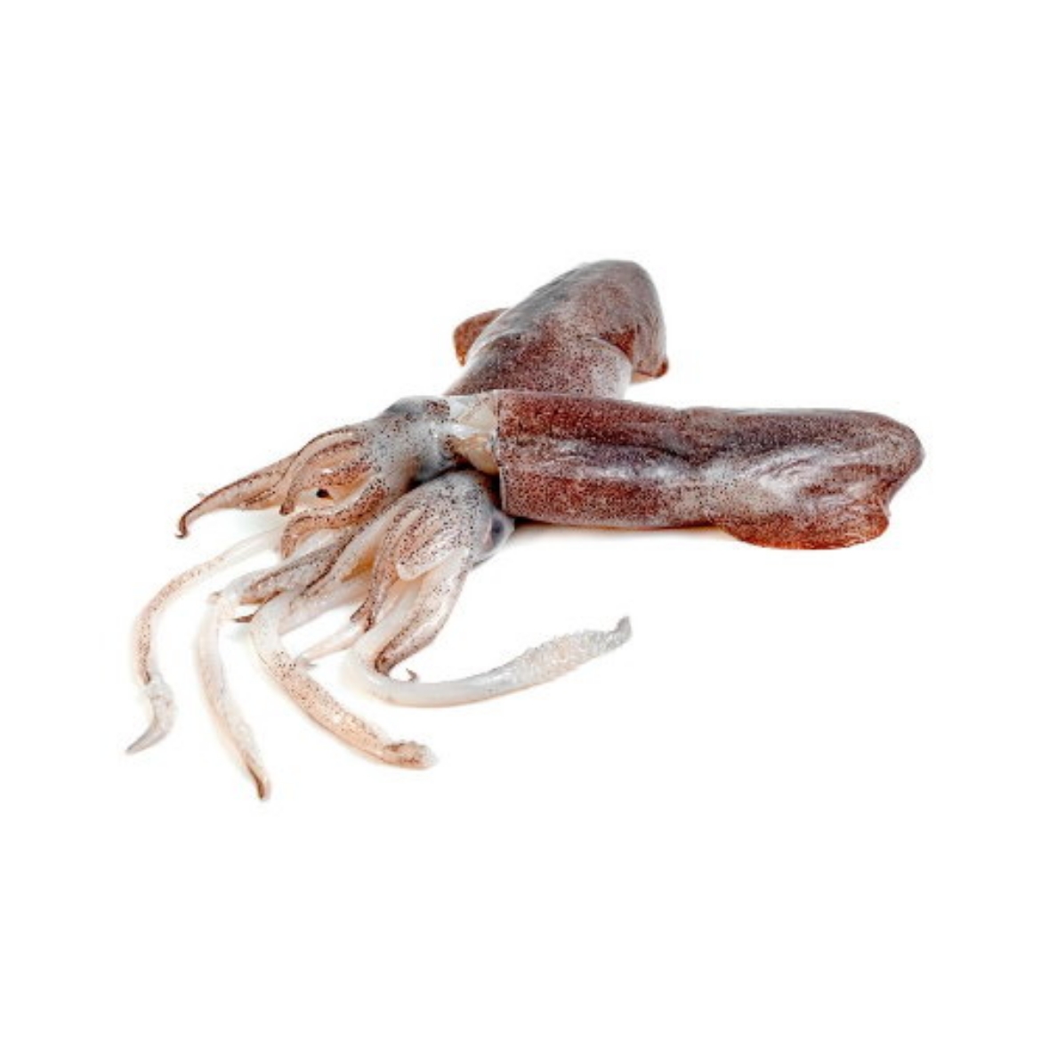 Picture of Fish Calamari KG