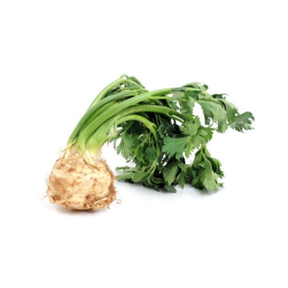 Celeriac の画像