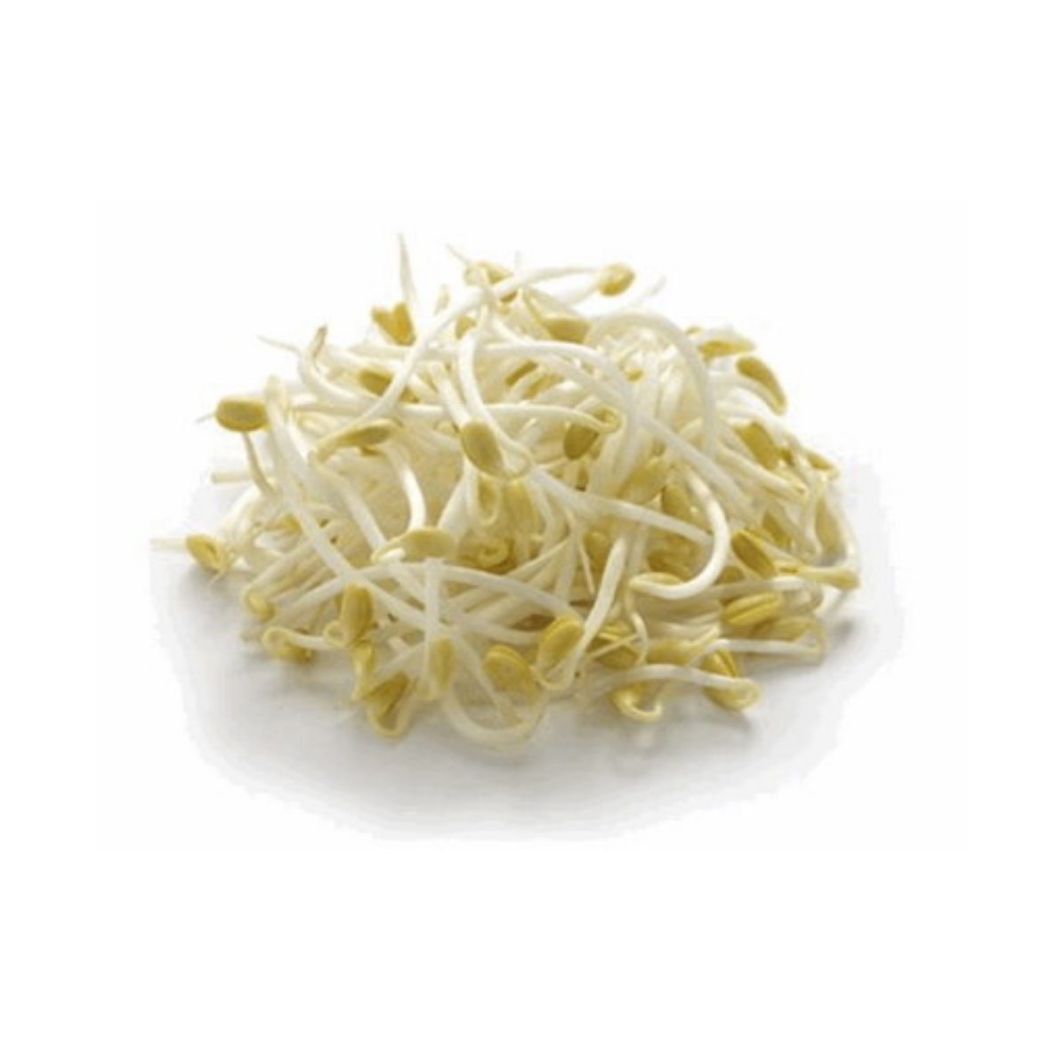 Picture of Bean Shoots