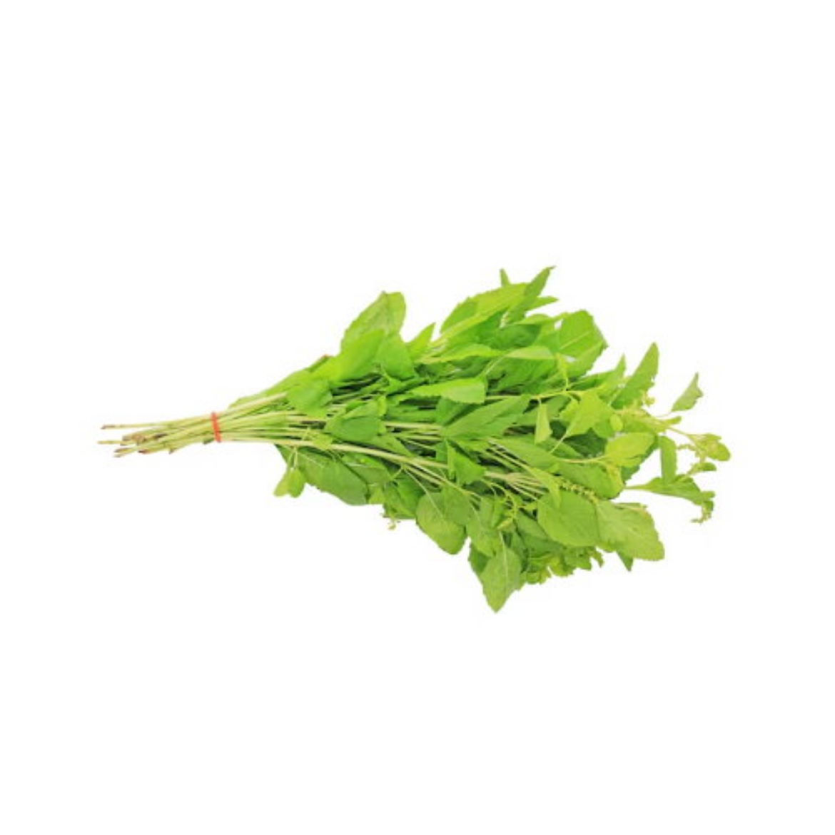 Picture of Que Basil Bunch