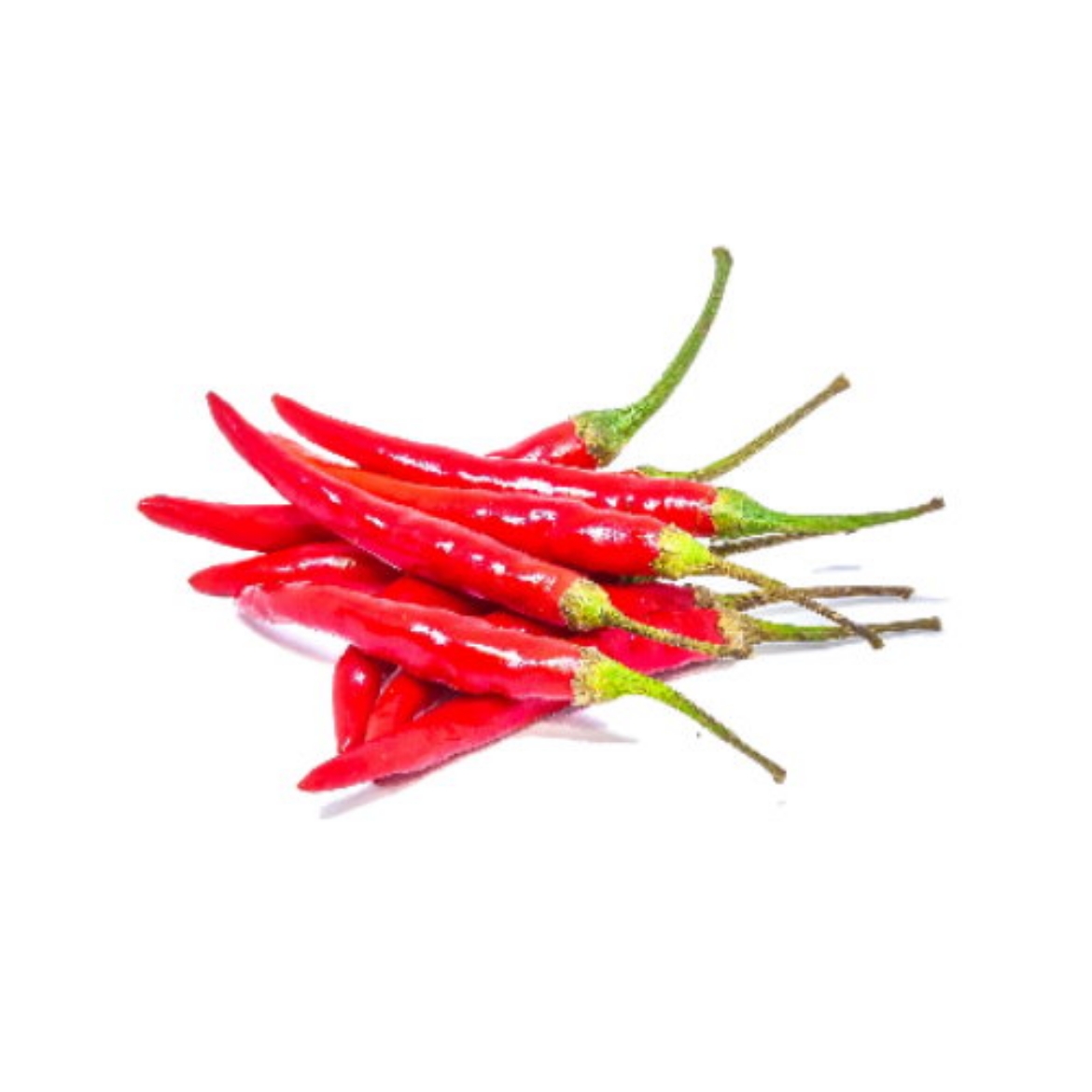 Picture of Red Chilli Little (OT S.DO)