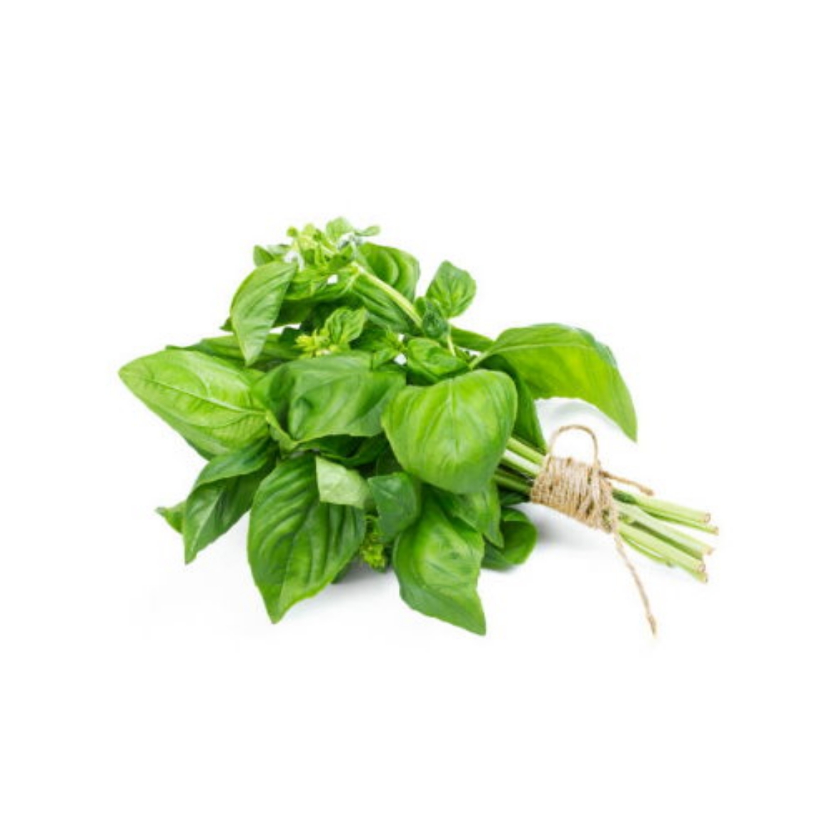 Picture of Basil Bunch
