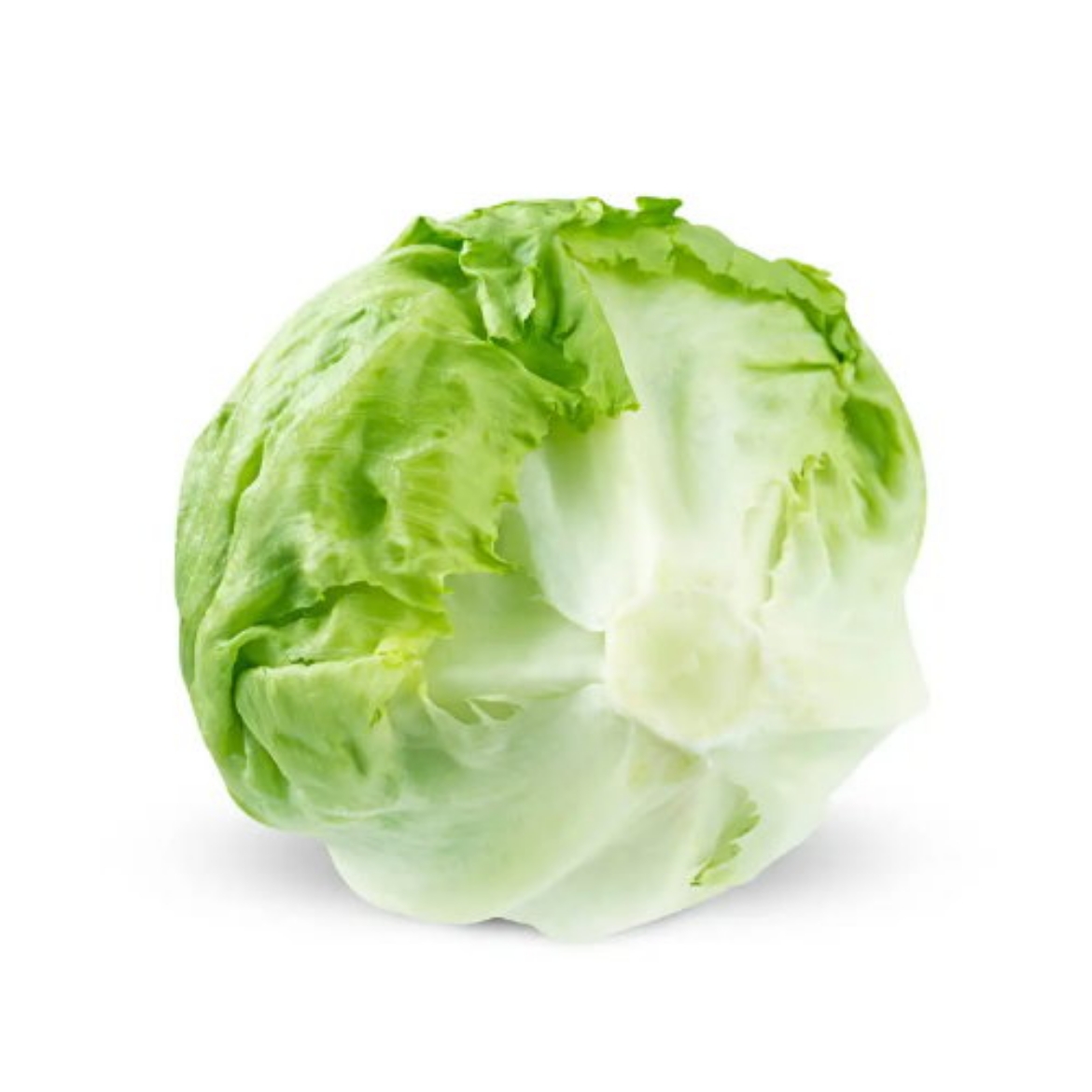 Picture of Lettuce Iceberg Each