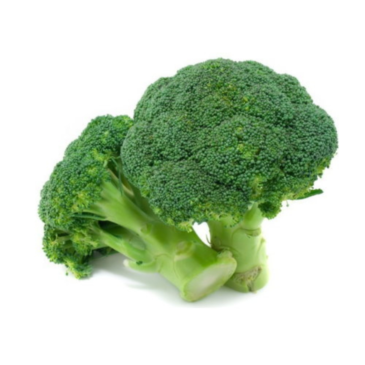 Picture of Broccoli