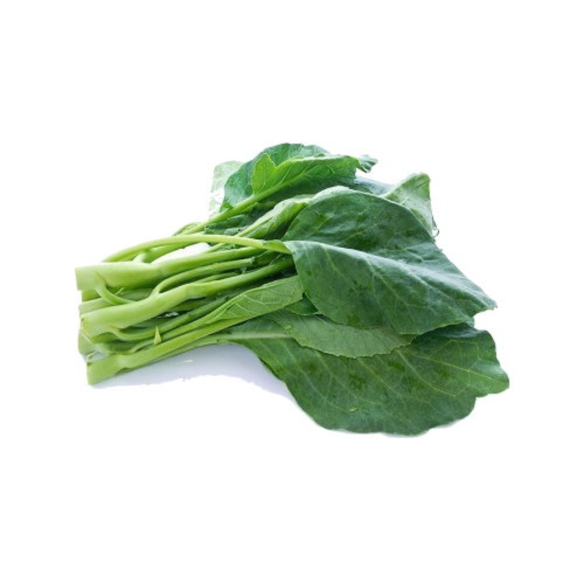 Picture of Chinese Broccoli Gai Lan Bunch