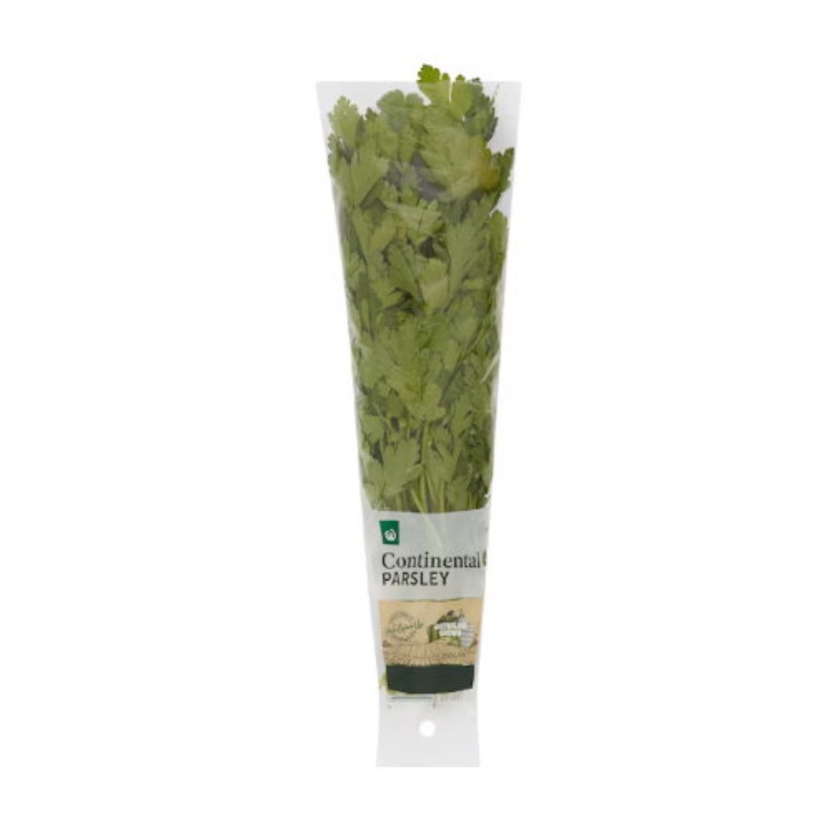 Picture of Continental Parsley