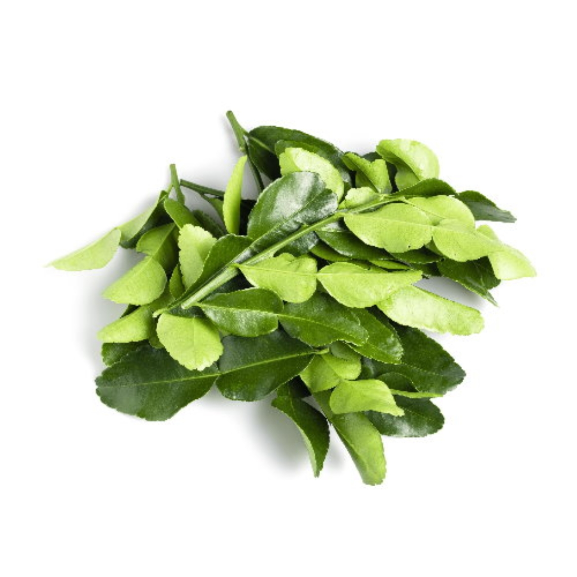 Picture of  Kaffir Lime Leaves 100g-Trophy Rd