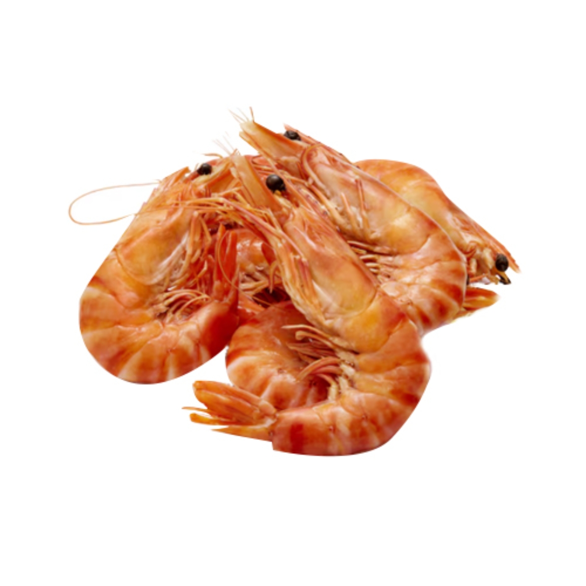 Picture of Prawns Cooked Tiger Thawed Extra Large 1kg