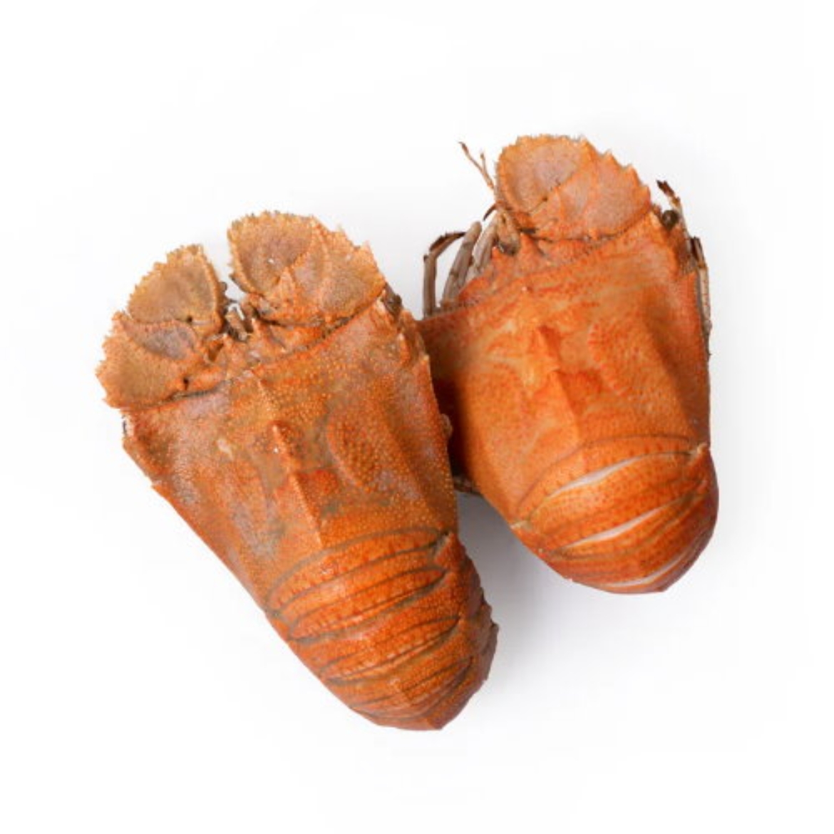 图片 Bugs Cooked Large AUS