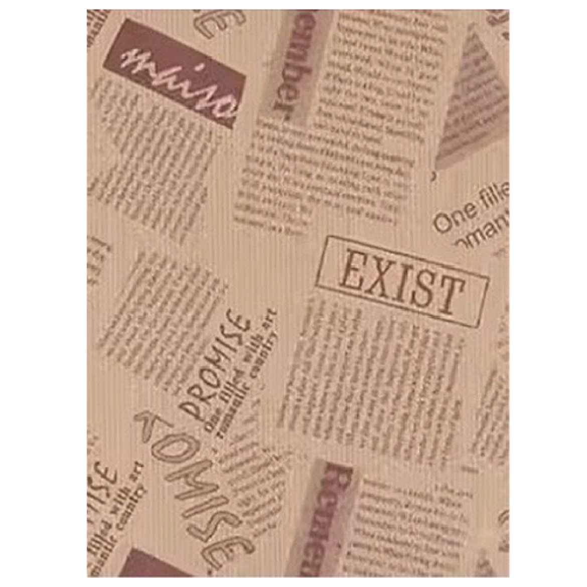 图片 Tray Paper