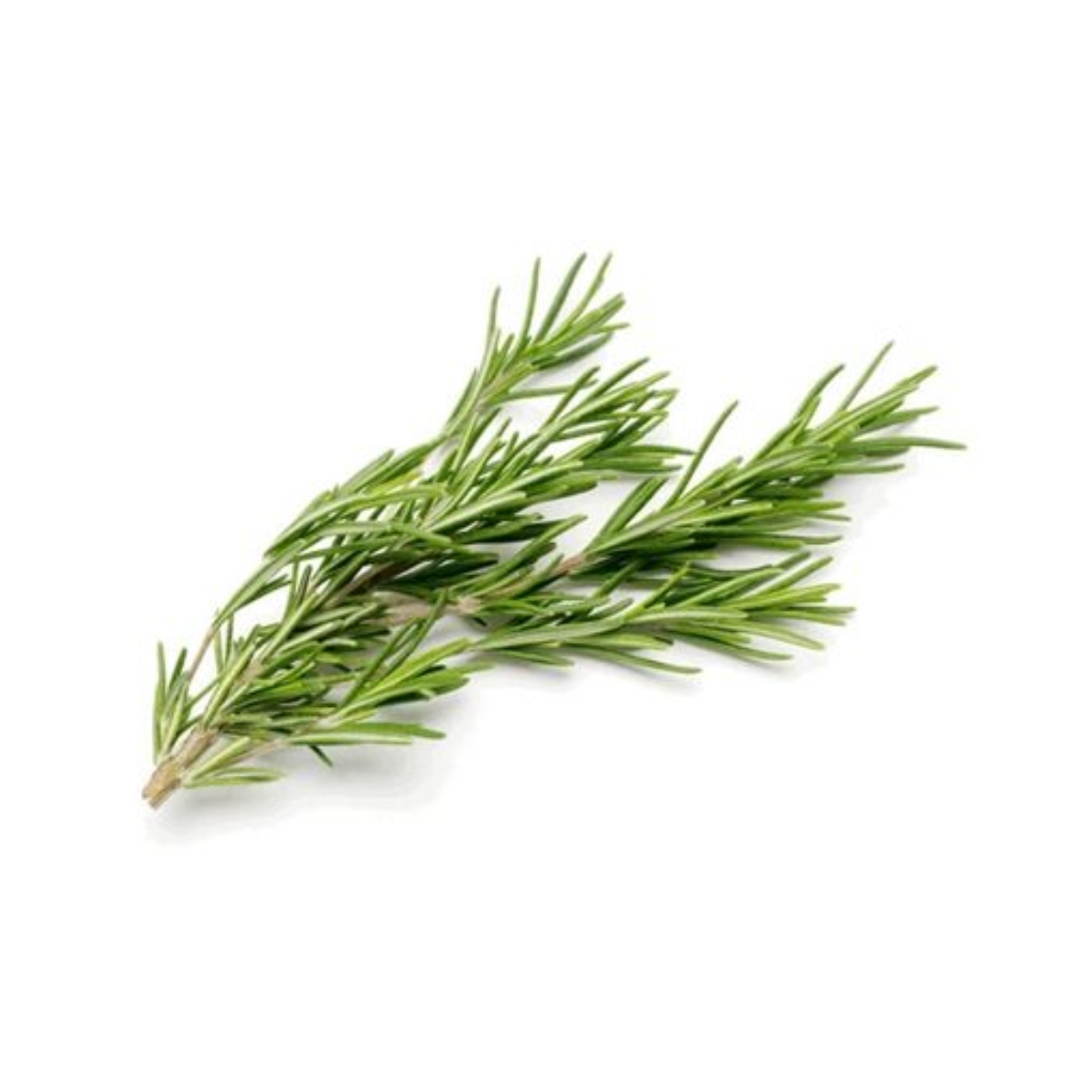 图片 Herbs Rosemary