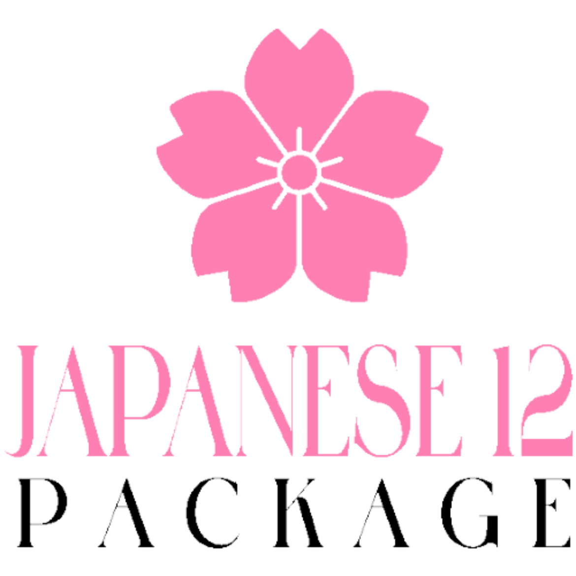 Picture of Classic Japanese Package 12
