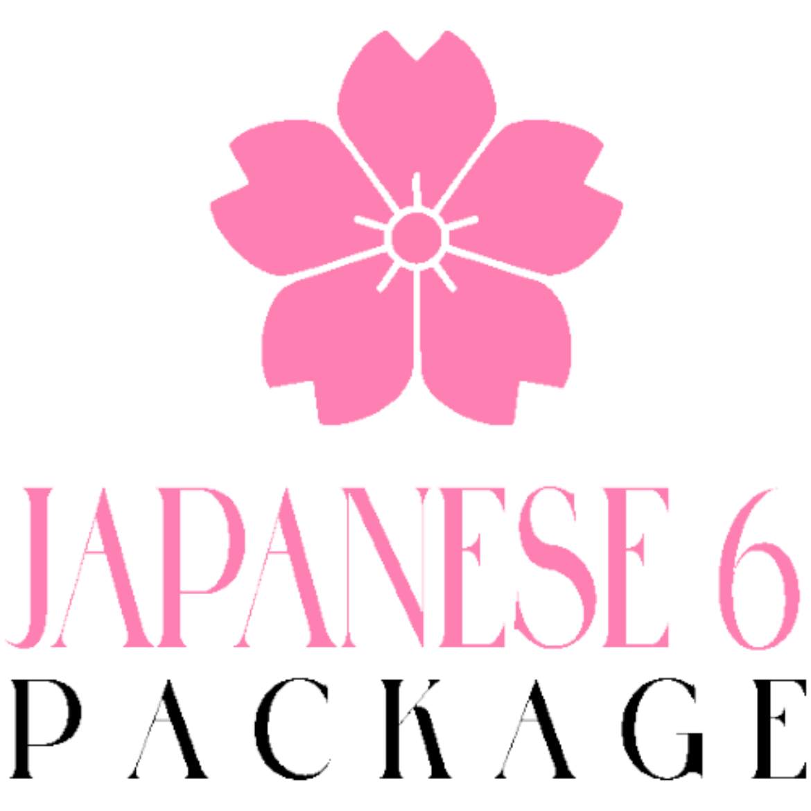 图片 Classic Japanese Package 6
