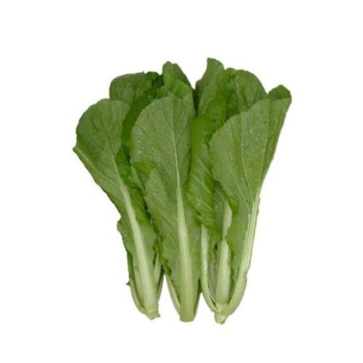 图片 Mustard Leaves Green