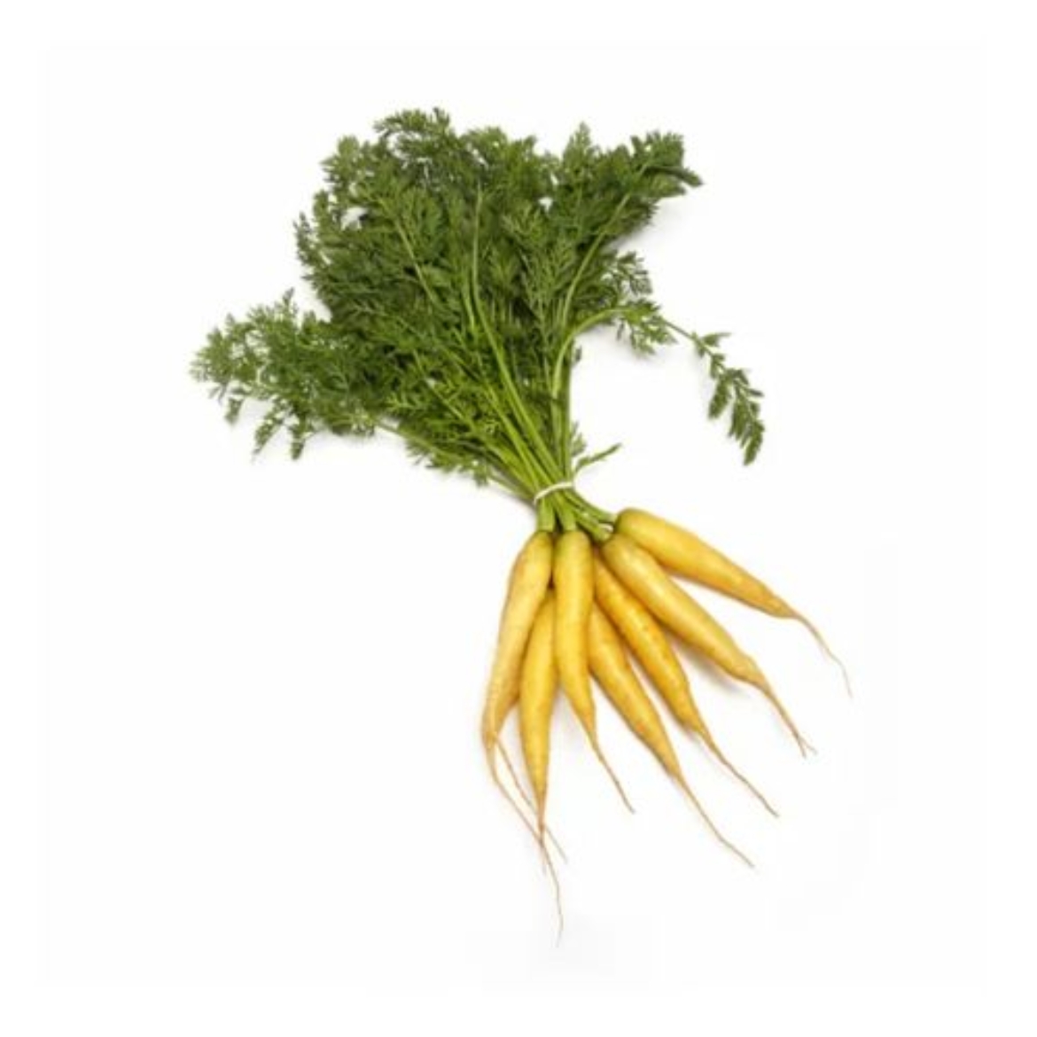 Picture of Carrots Baby White 