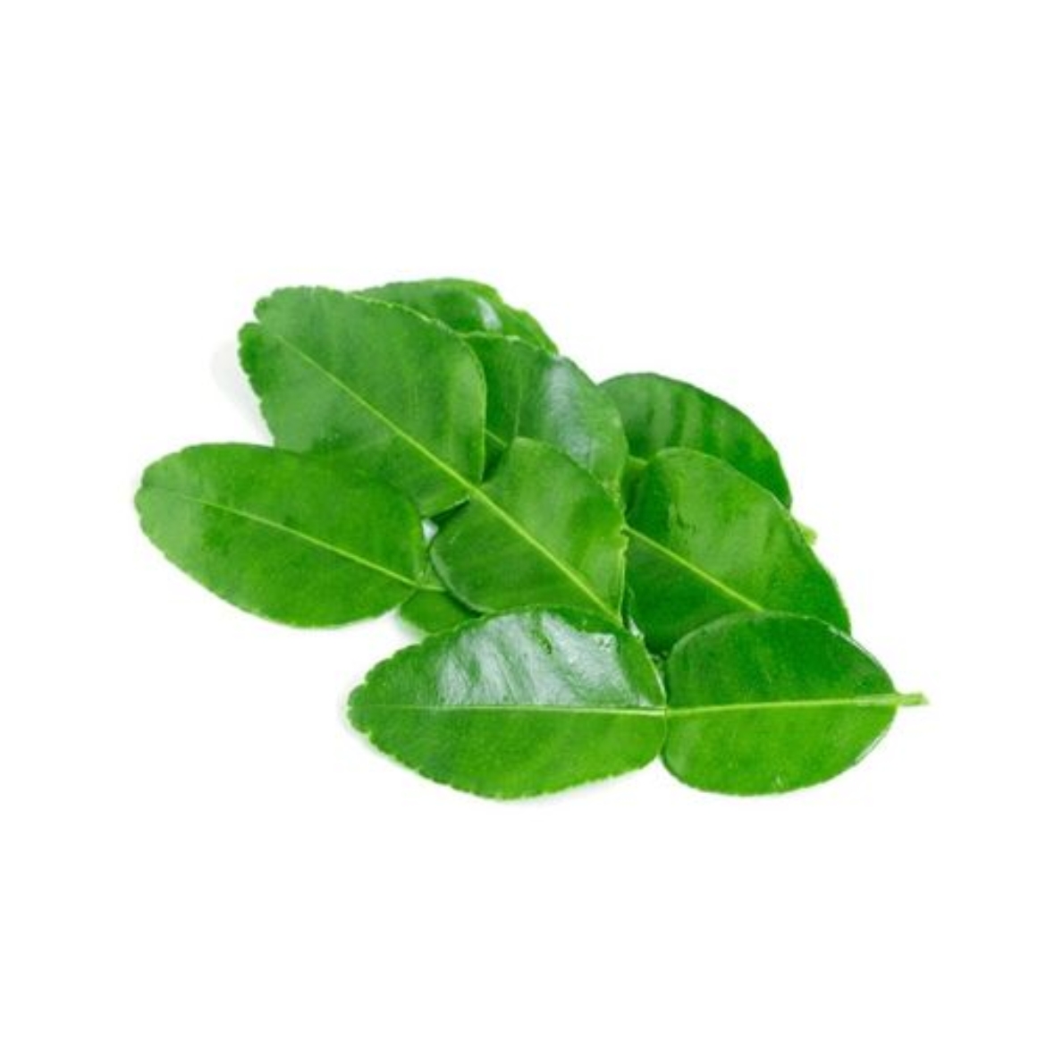 Picture of Kaffir Lime Leaves