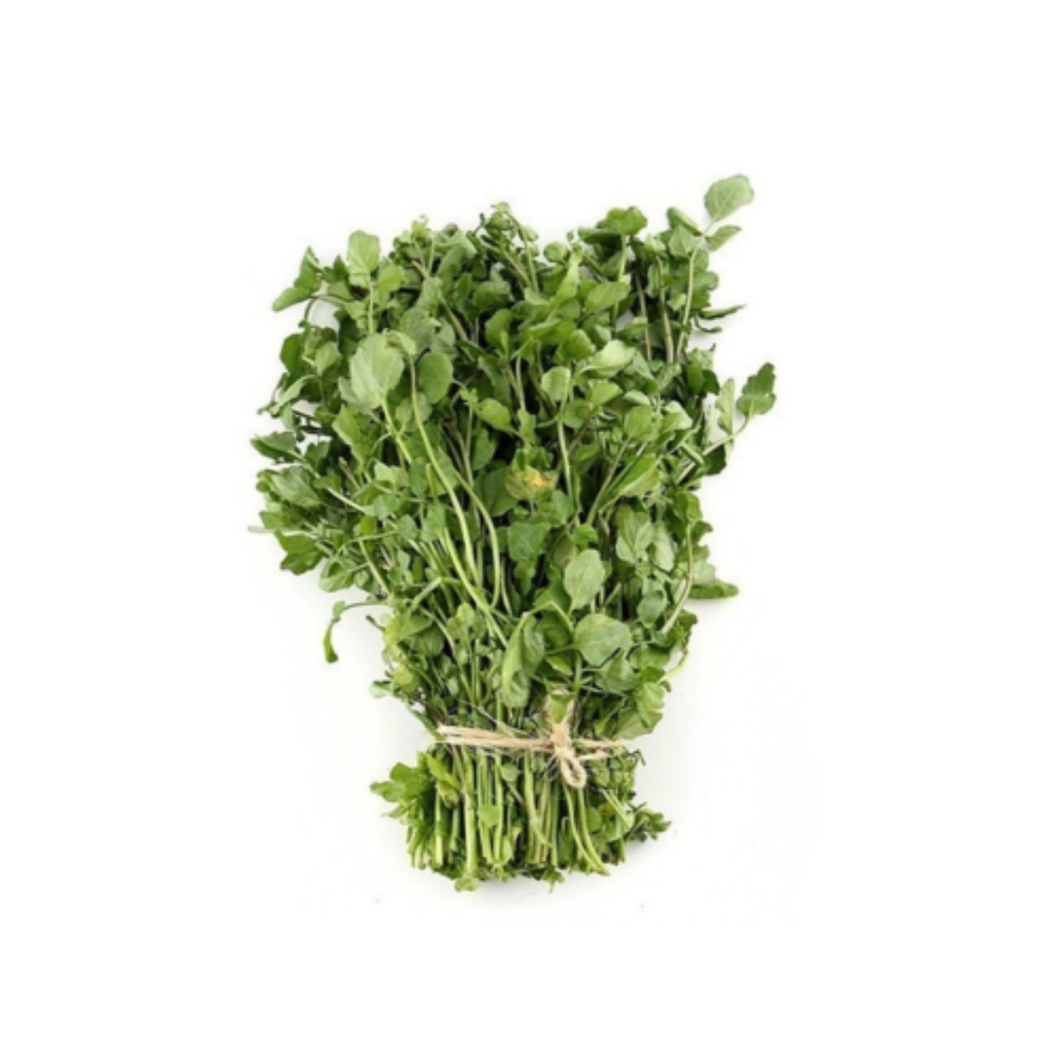 图片 Snow Pea Tendrils