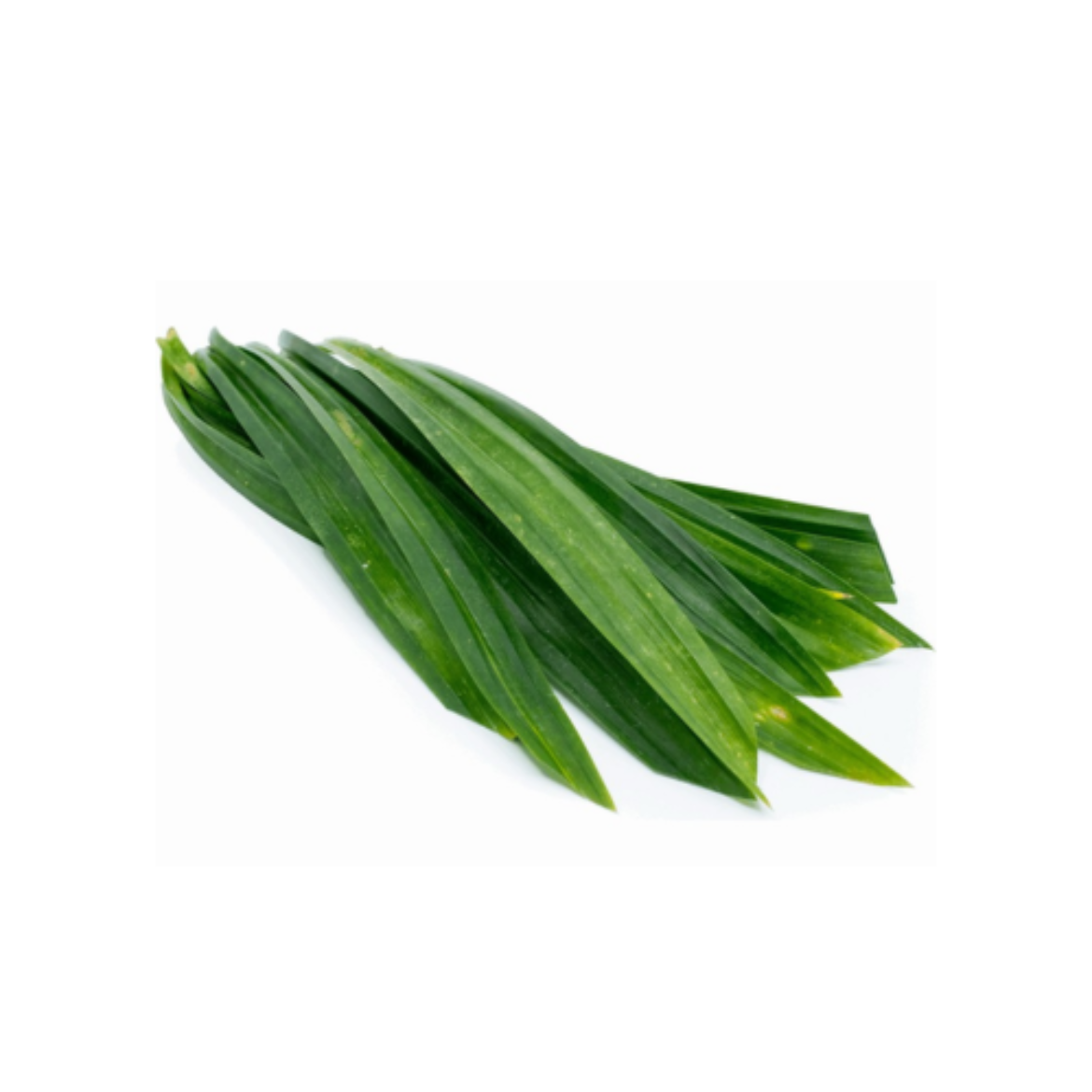 Picture of Pandan Leaves