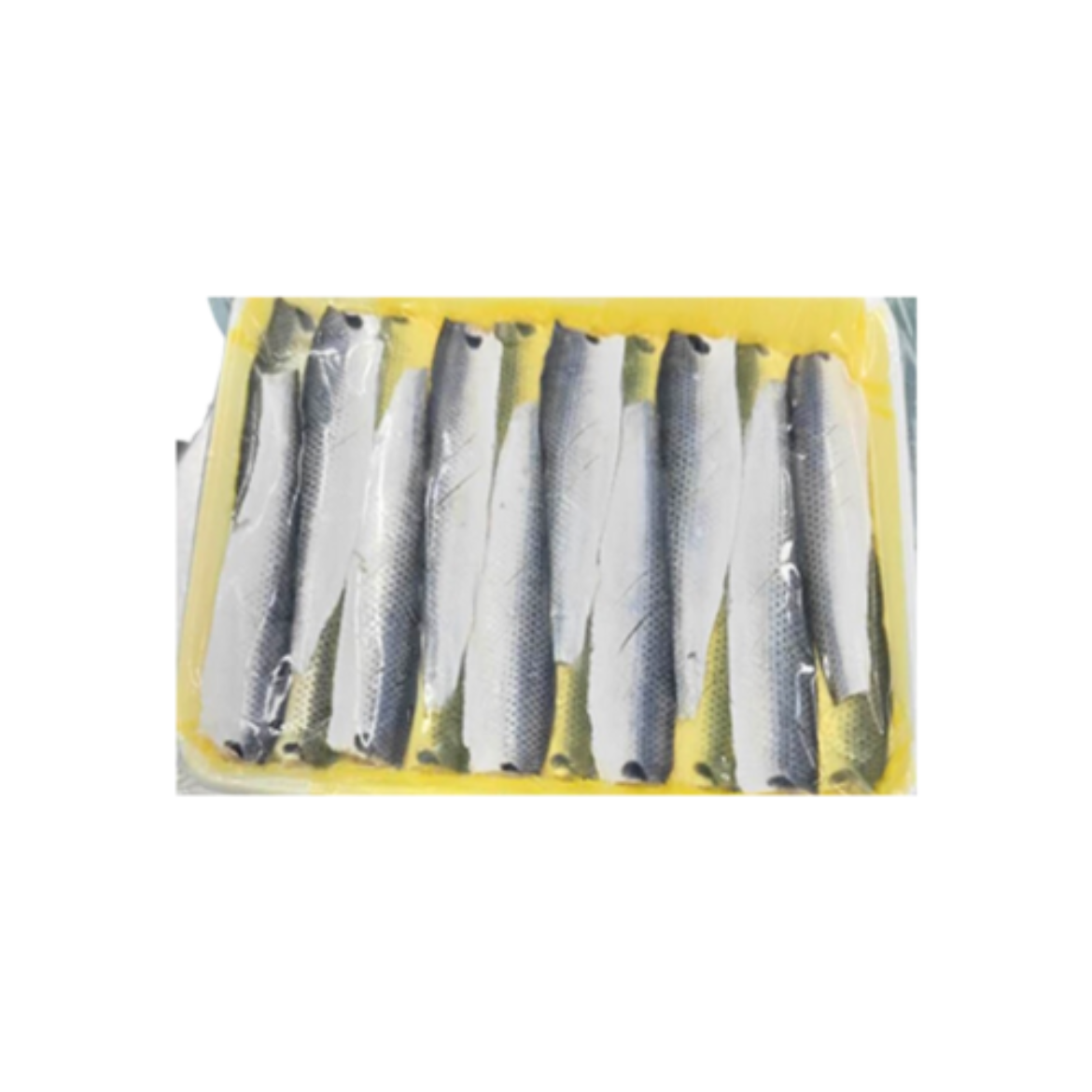Picture of Shime Kohada Fillet