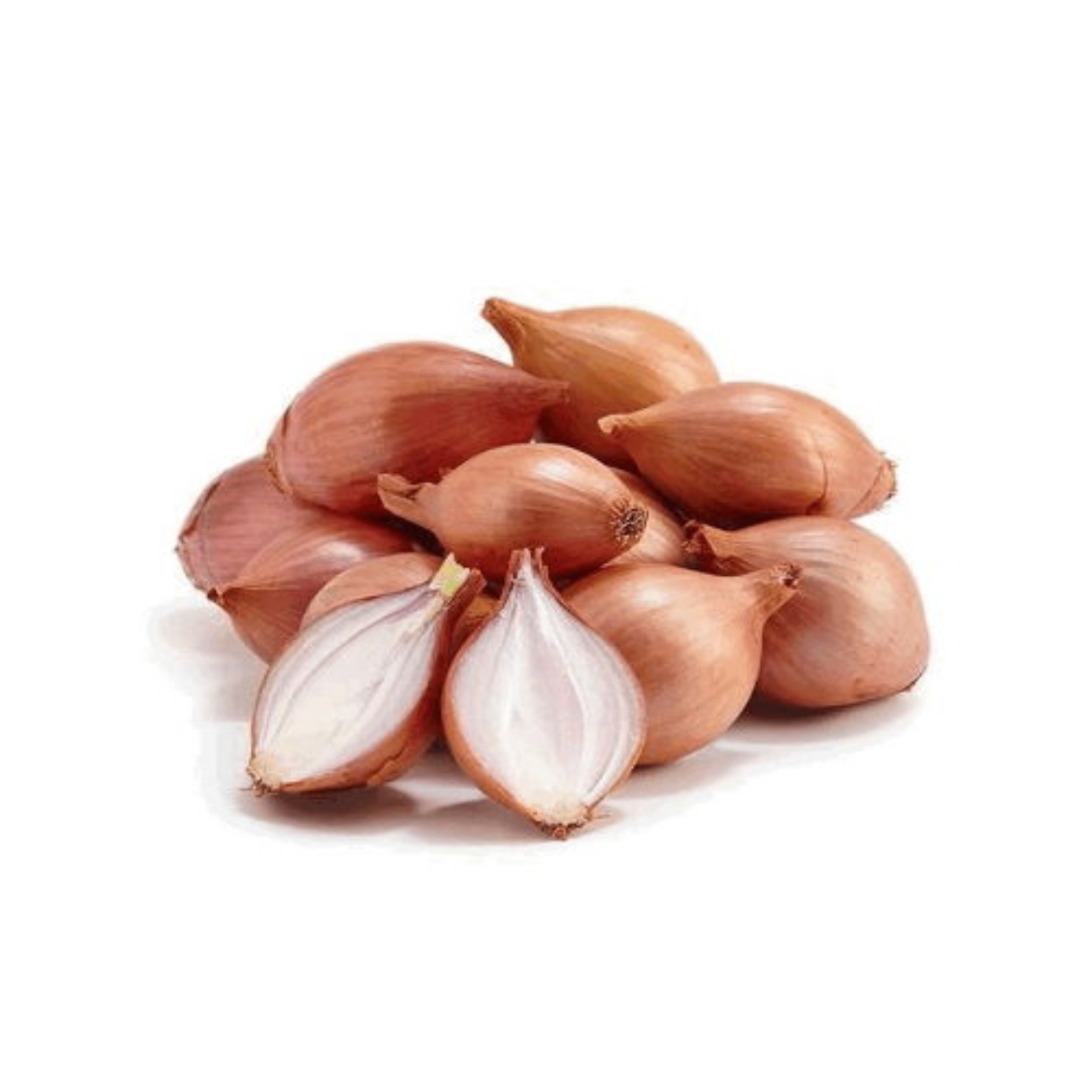 Shallot の画像