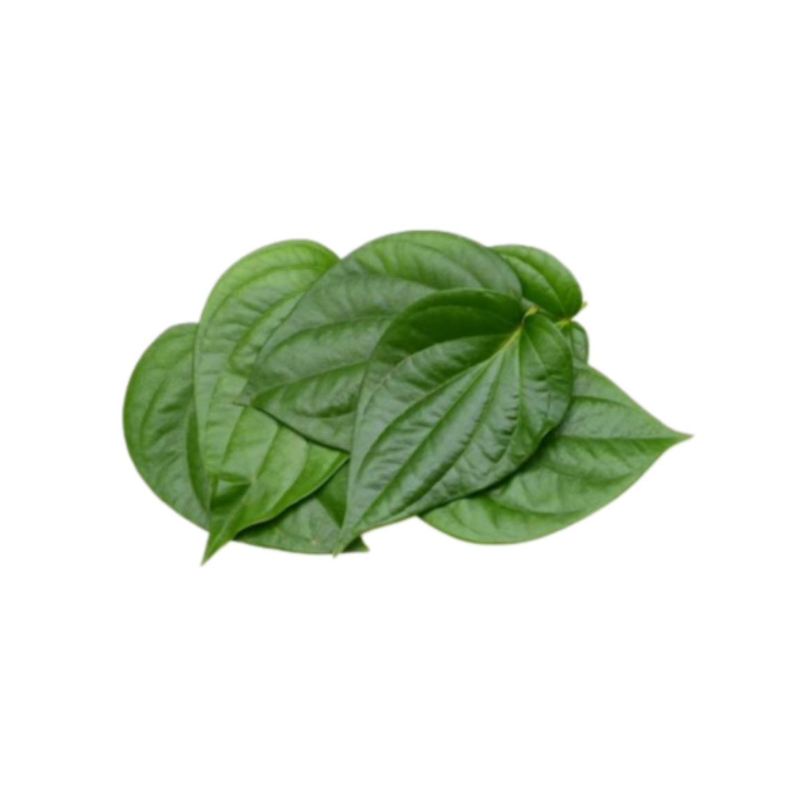 图片 Betel Leave