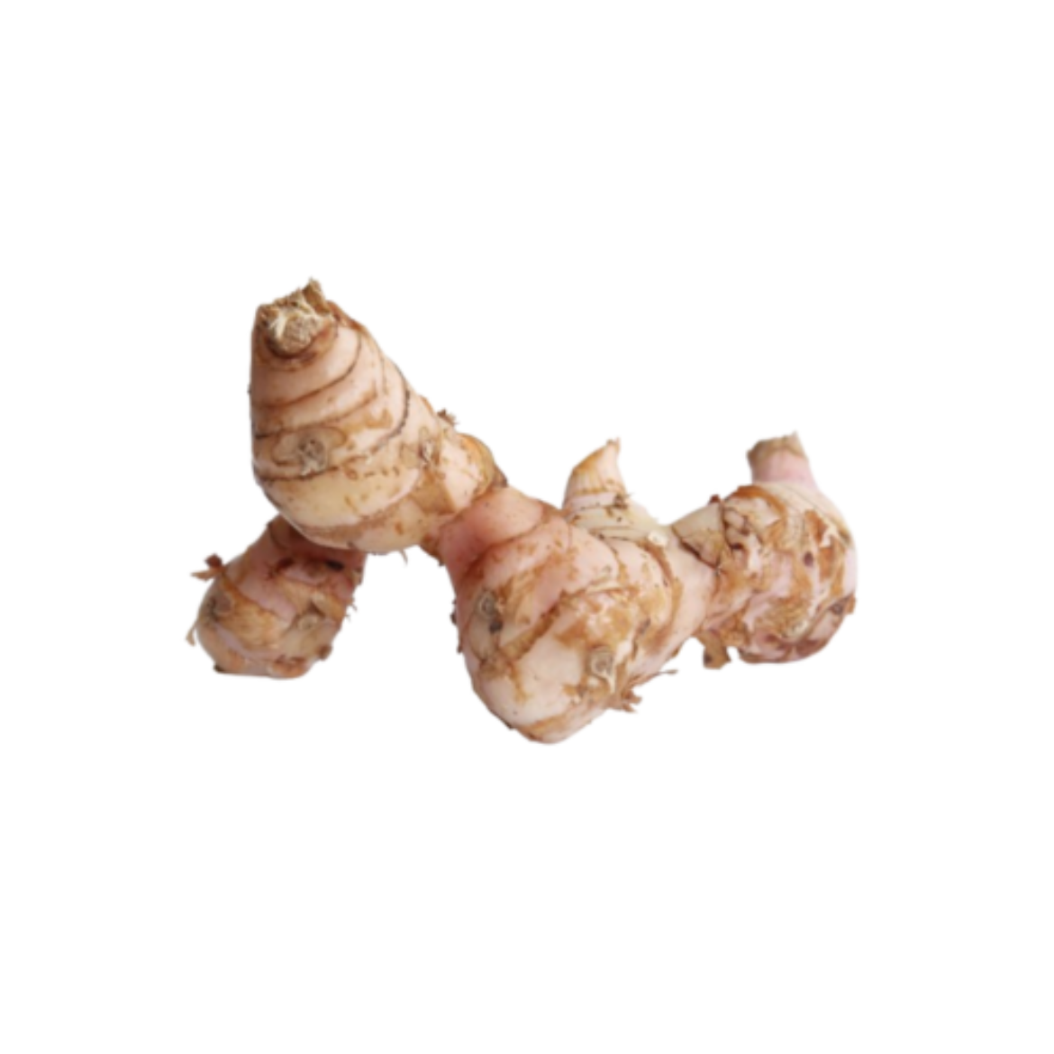 Picture of Galangal Cu Rieng