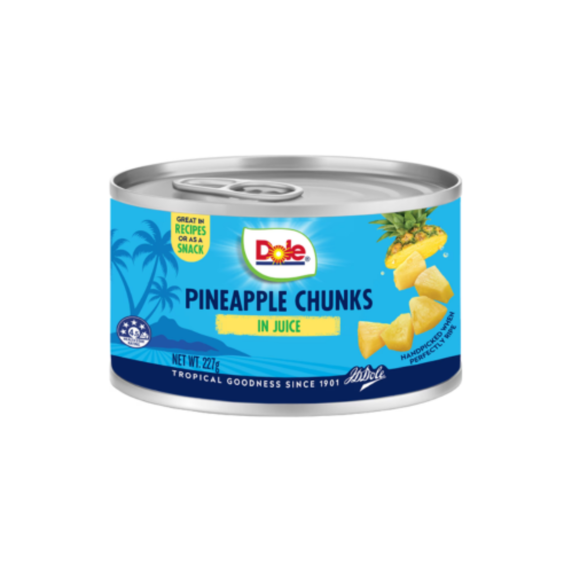 Picture of Pineapple Chunks In Juice
