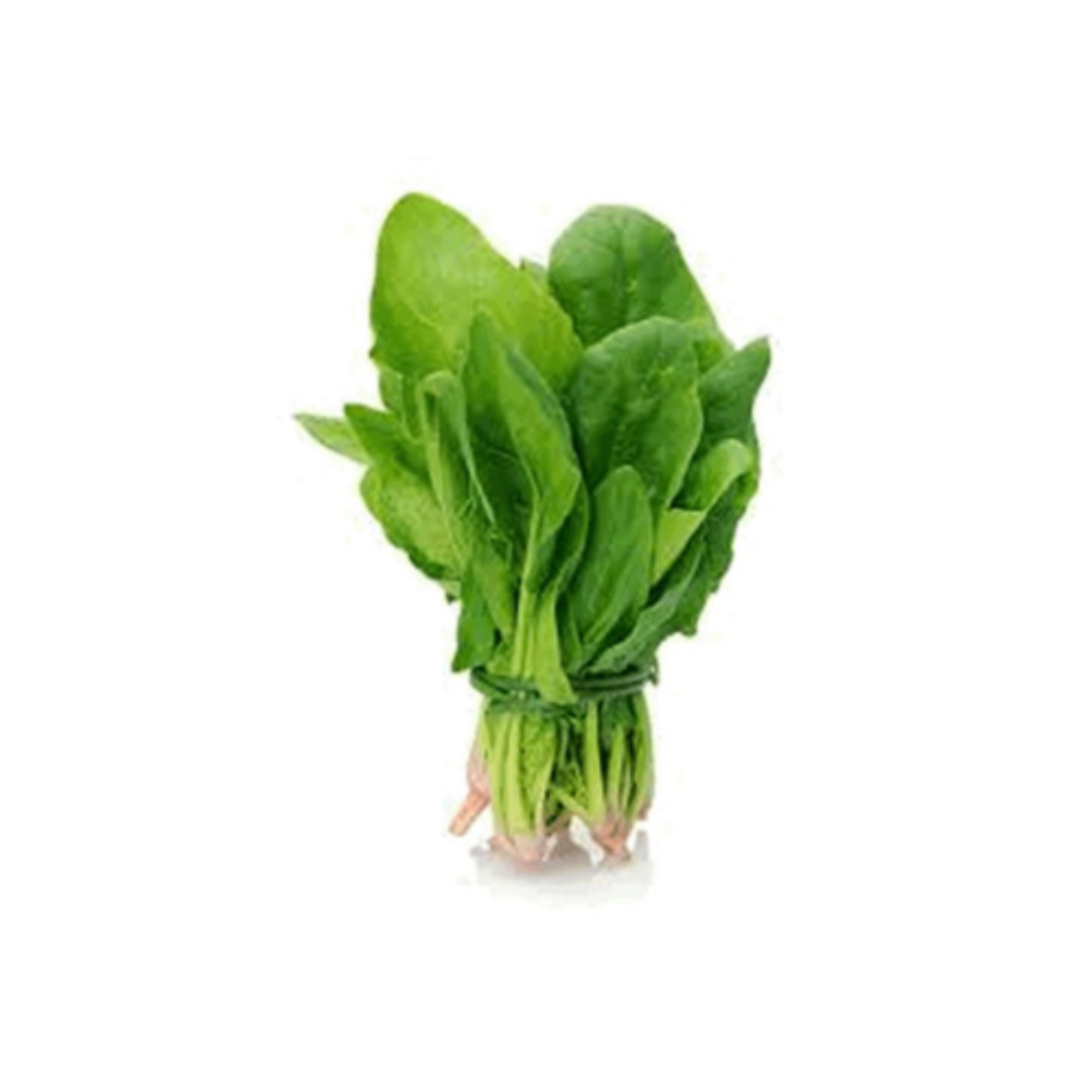 图片 Spinach