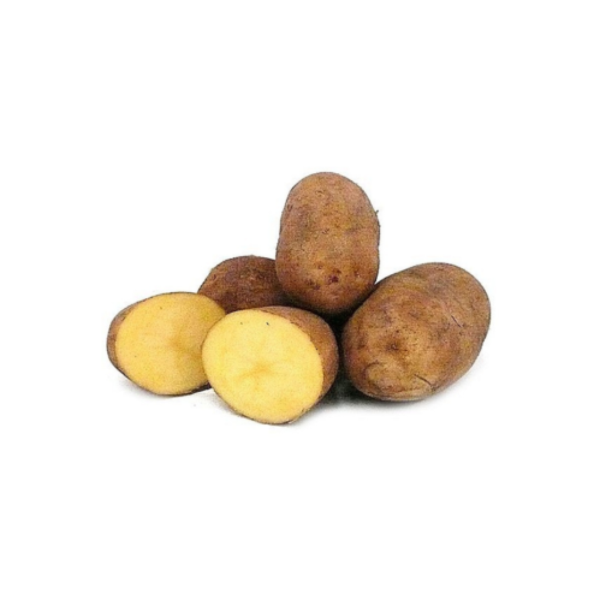 图片 Potato Dutch Cream