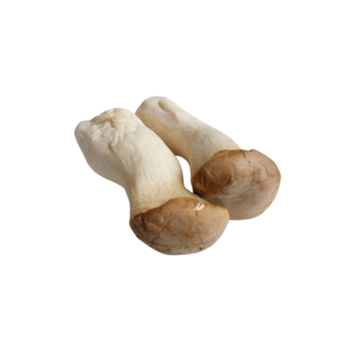 Picture of Mushroom King Brown