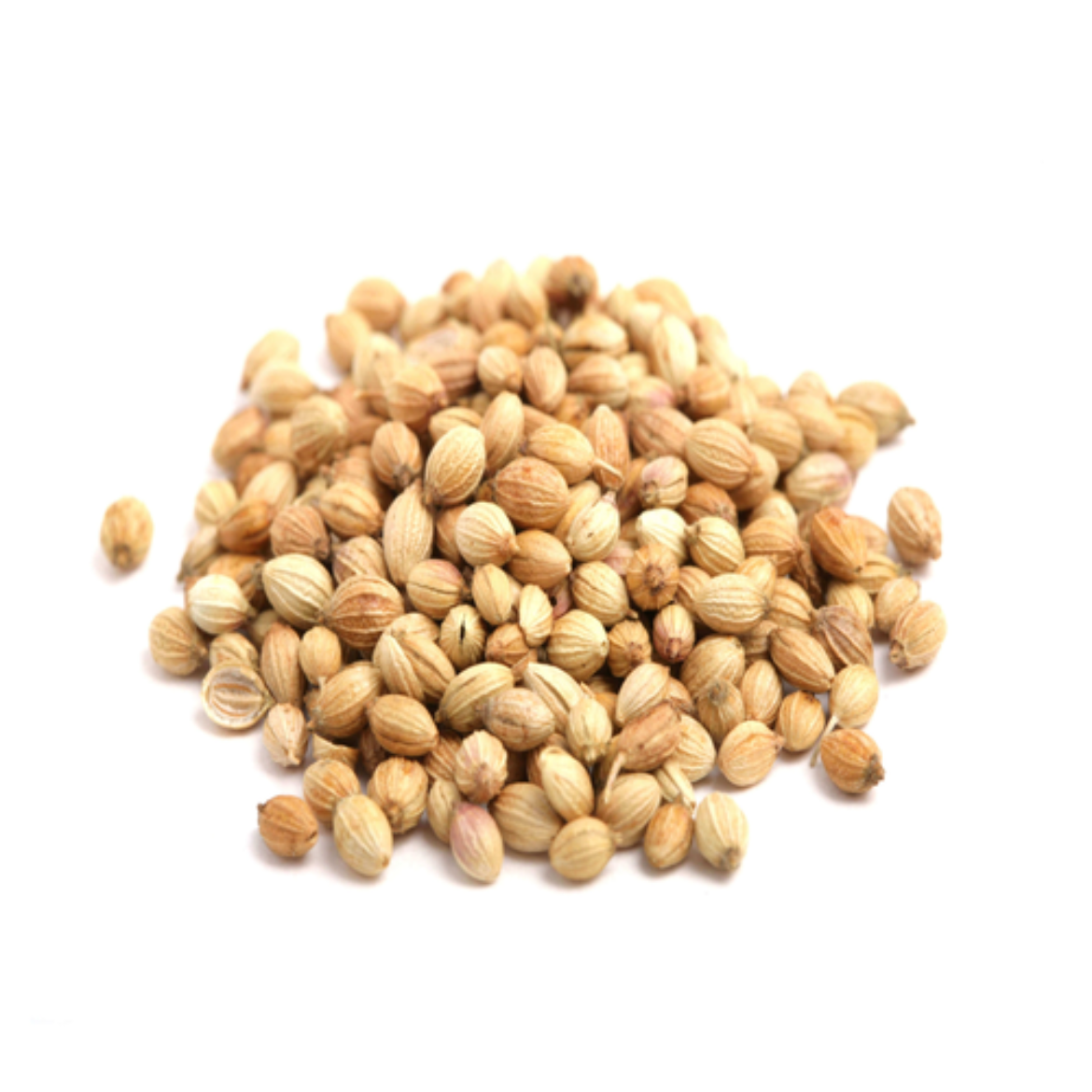 图片 Coriander Seed
