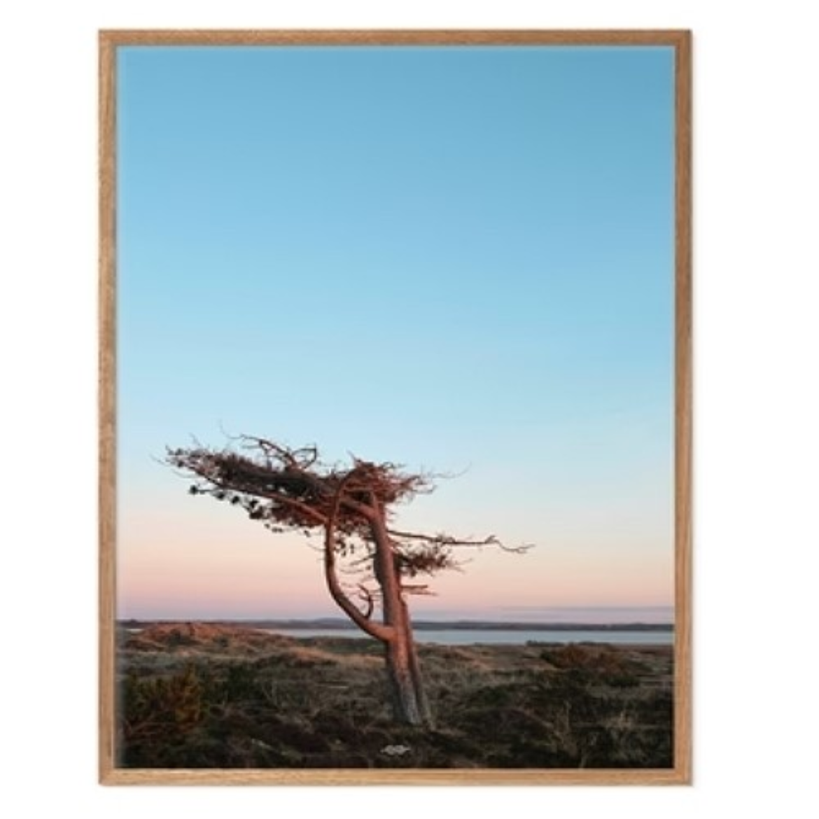 Digiprint40x50 の画像