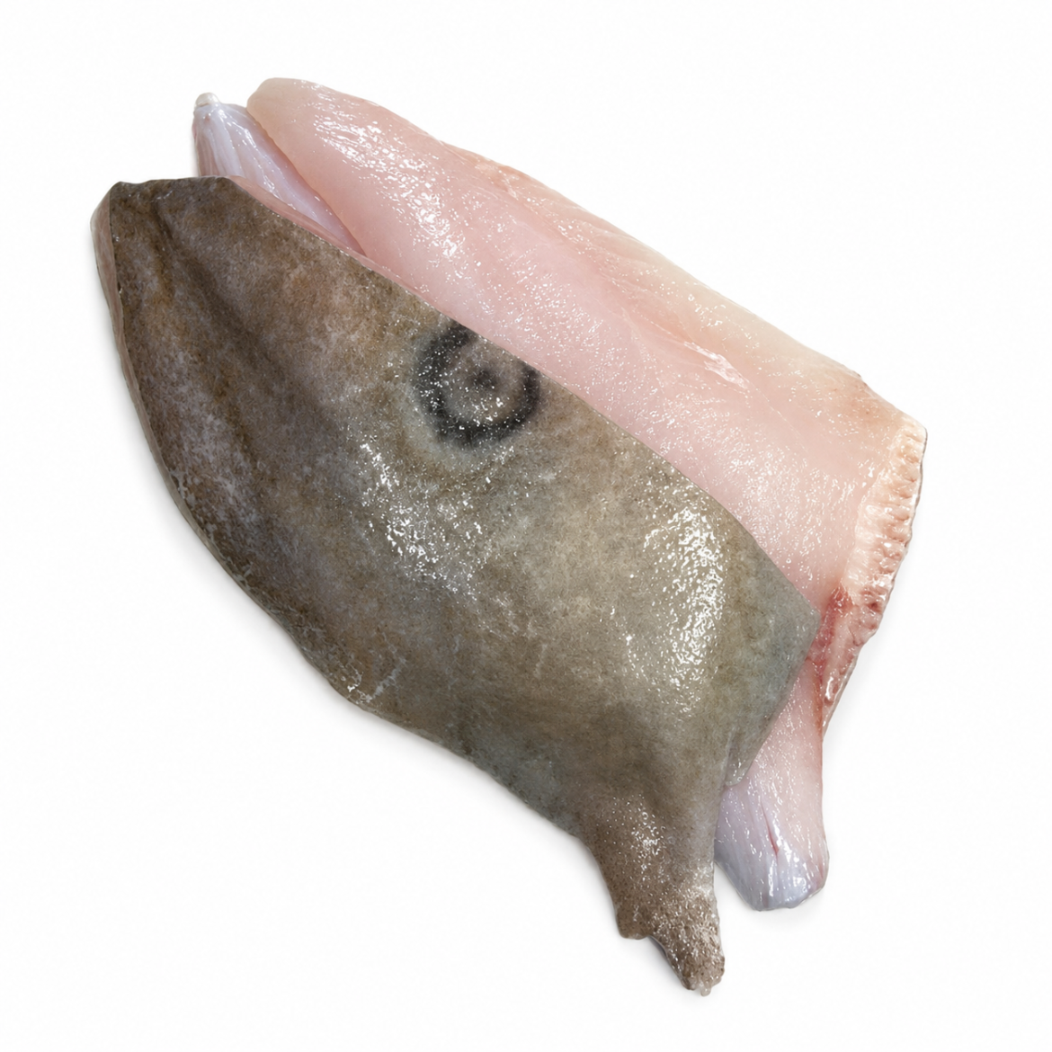 Fillets John Dory の画像