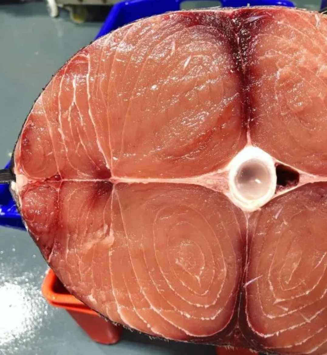 Picture of Marlin Loin
