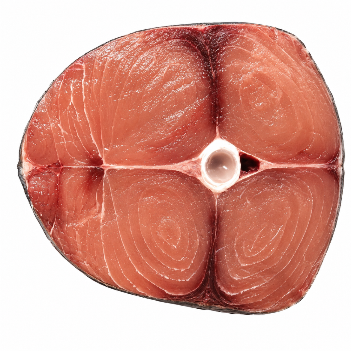 Picture of Marlin Loin