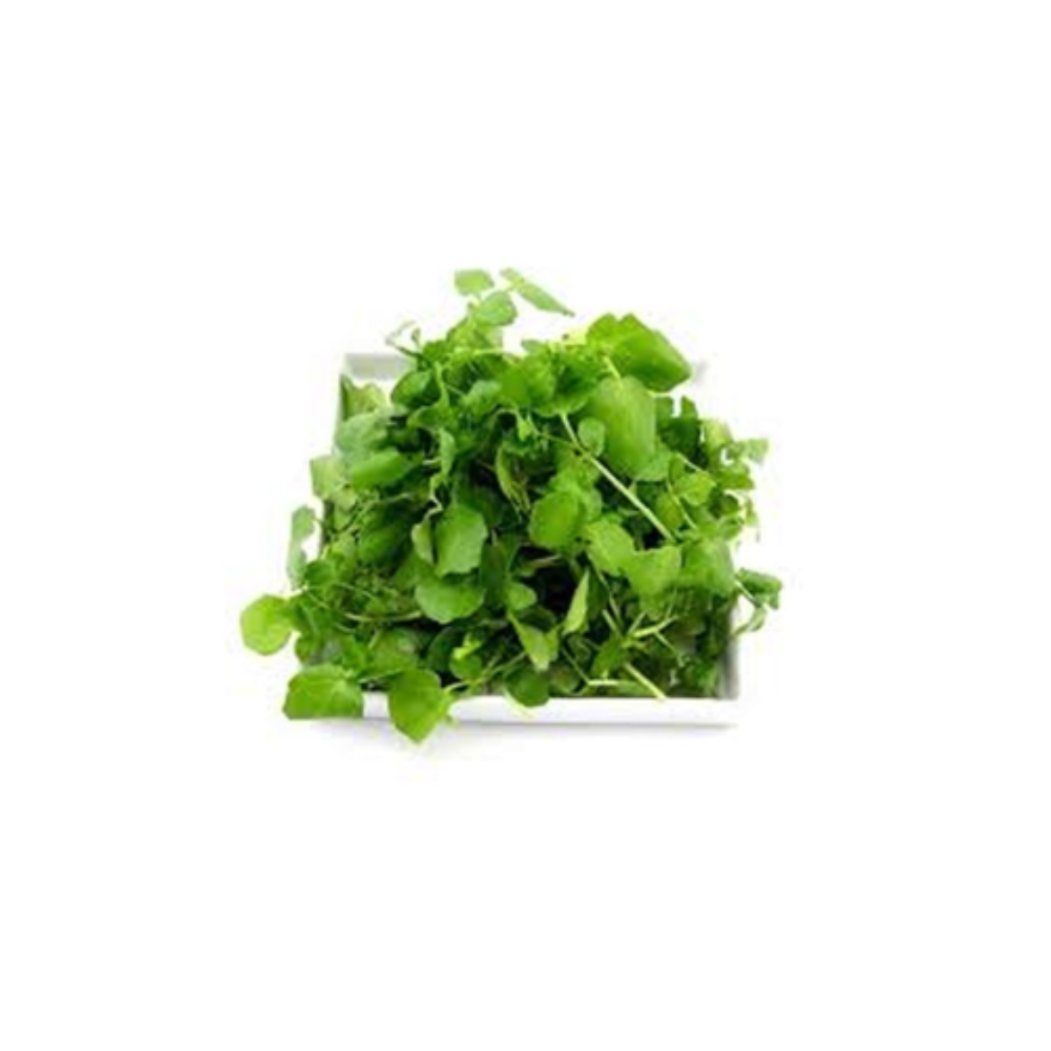 Micro Watercress の画像